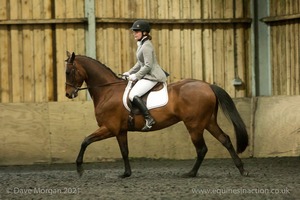 Isis Dressage Crown Farm Show 29th April 2012